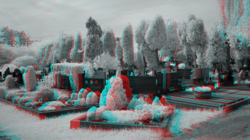 3D image - anaglyph - infrared - cemetery-